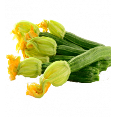 Courgette fleur