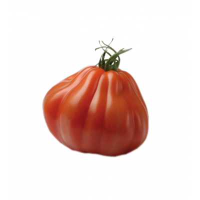 Tomate Aumonière