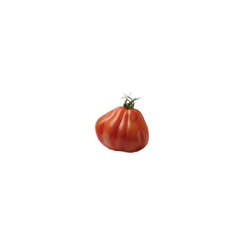 Tomate Aumonière